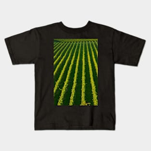 The Mission Vineyard Kids T-Shirt